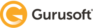 Gurusoft Report